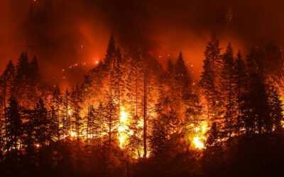 May is Wildfire Awareness Month, Are You Protected?